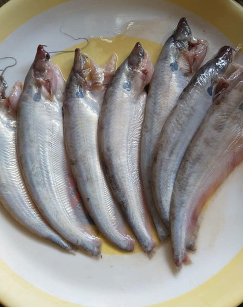 Pabda Fish 600 Gm Raw