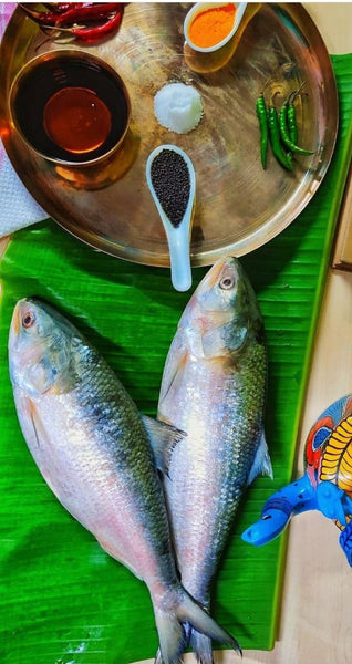 Hilsa -  2200 Rs per kg when weight > 1kg Net wet 1250 Gm Raw