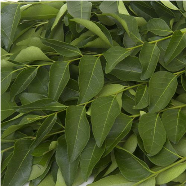Curry leaves, Organic 100 Gm